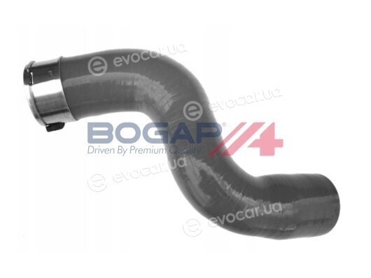 Bogap R1711110