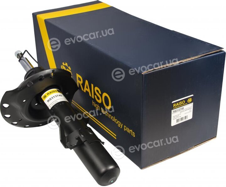 Raiso RS313749