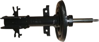 Renault / Nissan 543025668R