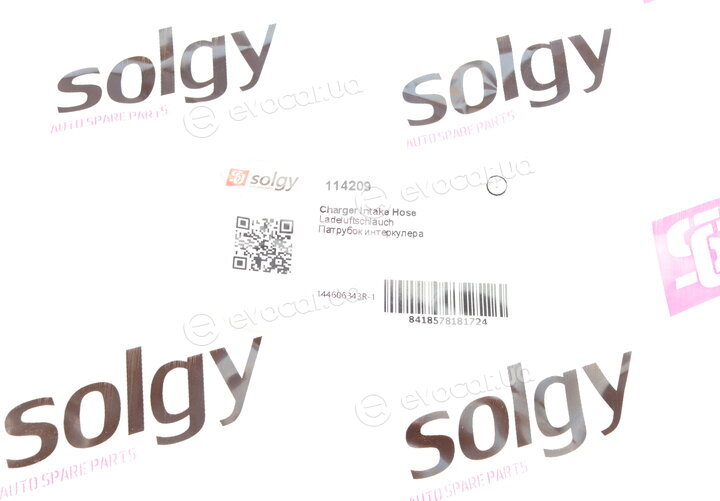 Solgy 114209