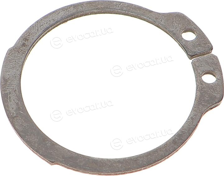 Magneti Marelli 301191619200