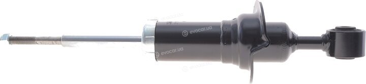 Solgy 211365