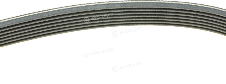 Continental 7PK1647