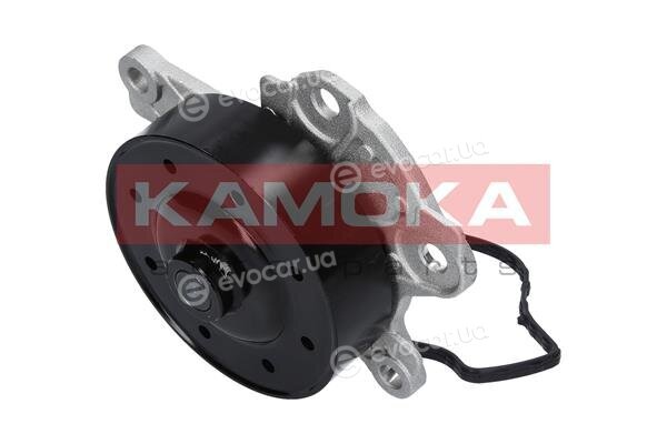 Kamoka T0262