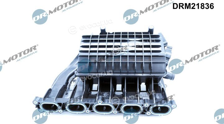 Dr. Motor DRM21836