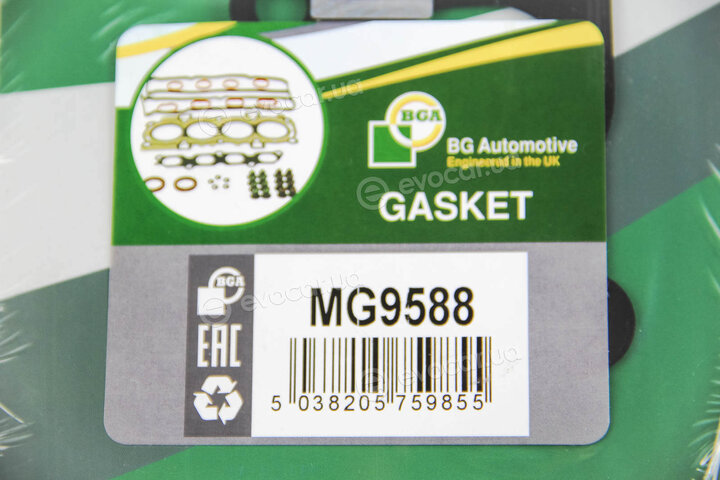 BGA MG9588