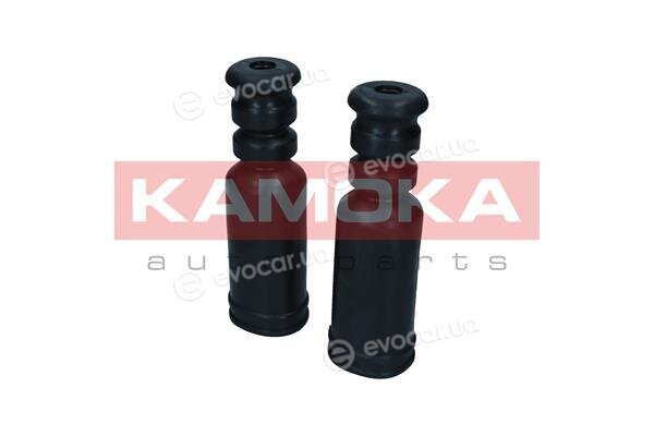 Kamoka 2019197