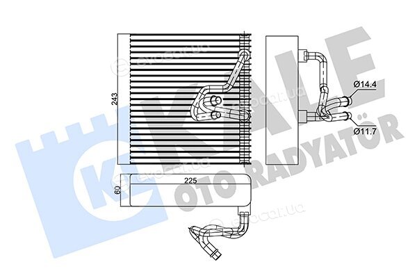 Kale 350035