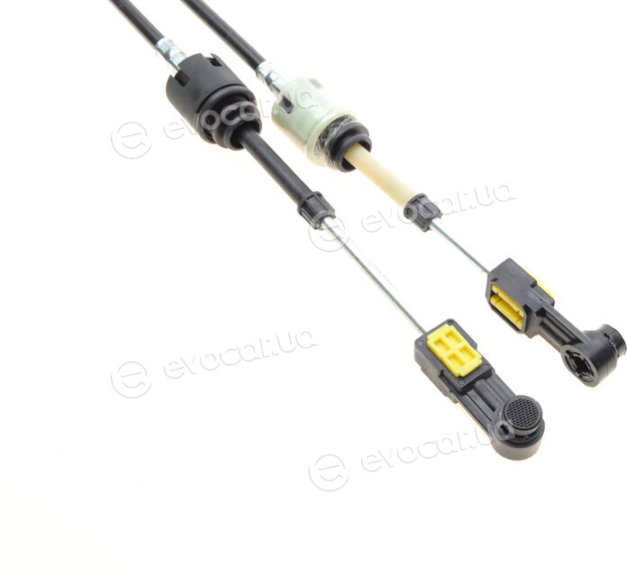 AIC 58956