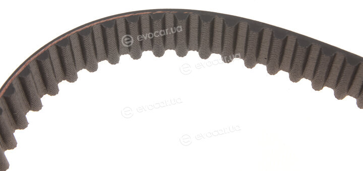 Gates K025508XS
