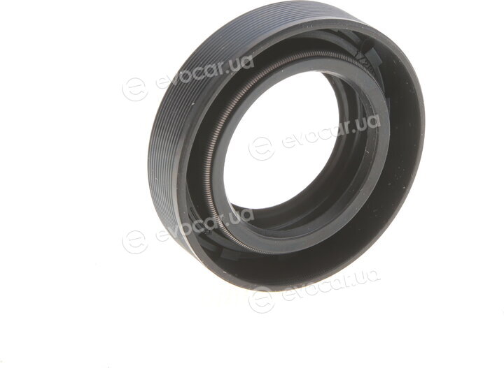 Elring 505.090