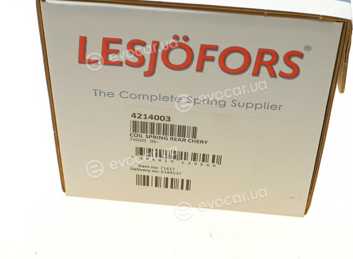 Lesjofors 4214003