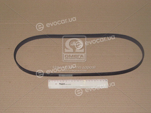 Continental 6PK1084
