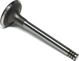 Gunes 5987