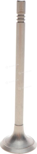 AMP PVWG136-B-0-N