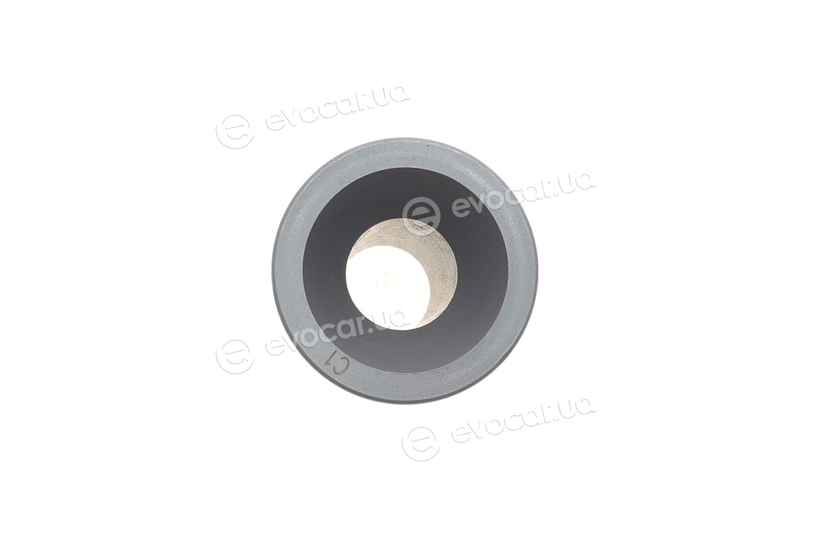 Mahle 001 PI 00105 000