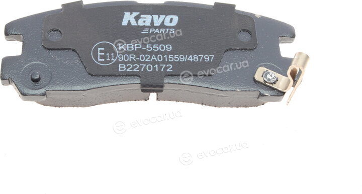 Kavo KBP-5509