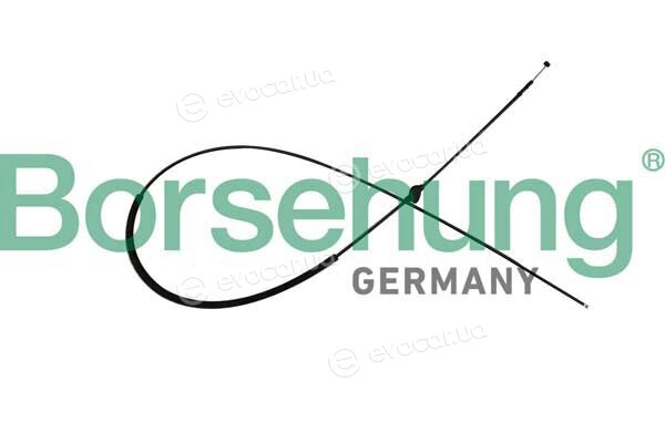 Borsehung B10780