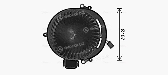 AVA BW8611