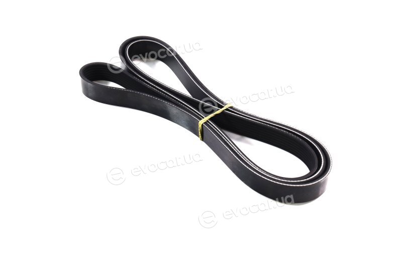 Dayco 7PK2061
