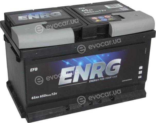 Enrg 565500065