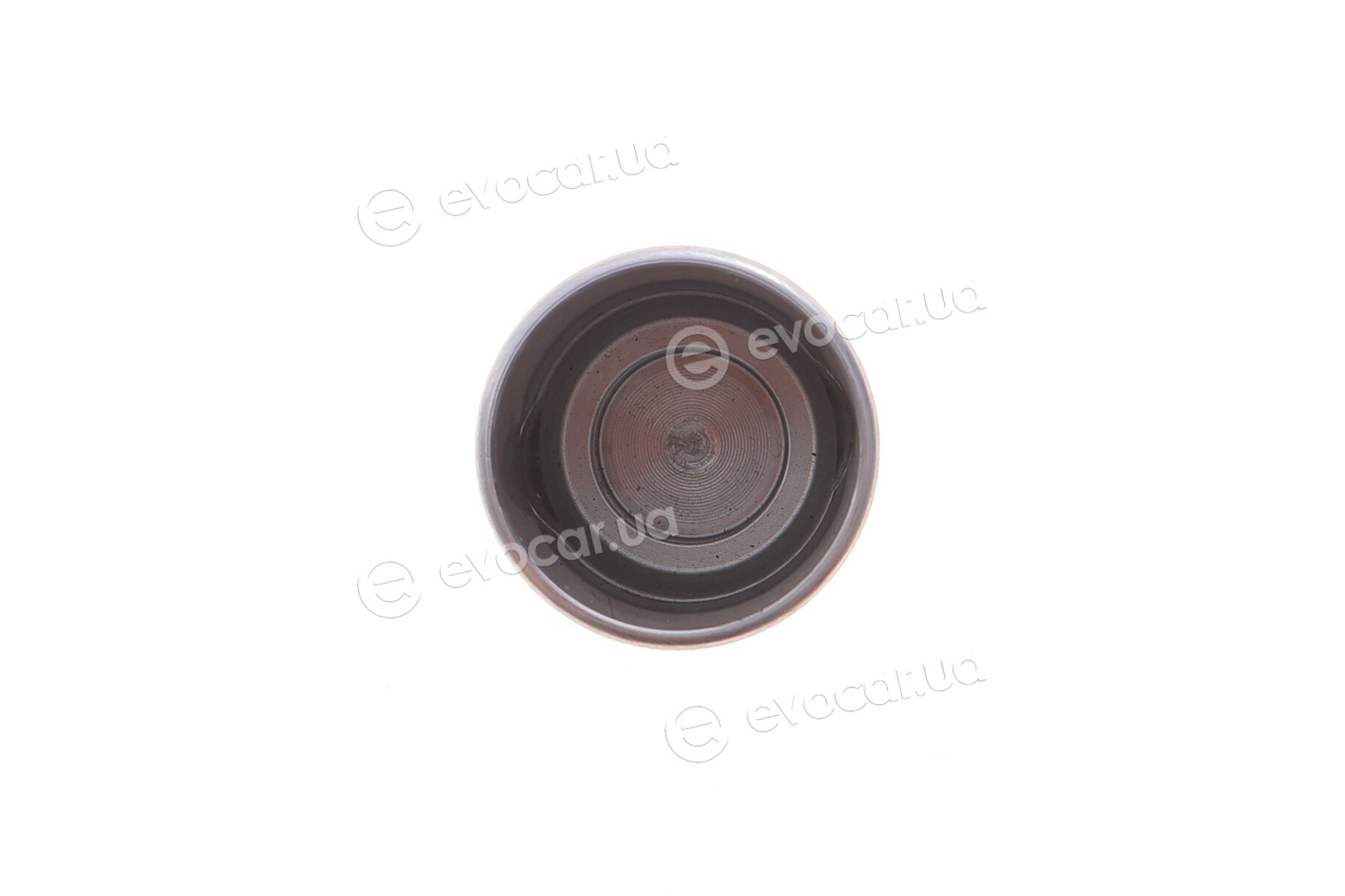 Frenkit P344701