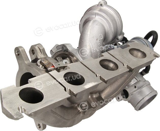 BorgWarner 53049880064