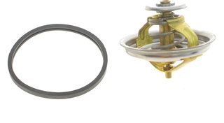 Wahler / BorgWarner 4147.80D