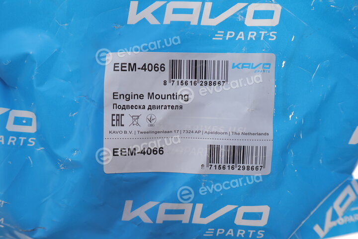 Kavo EEM-4066