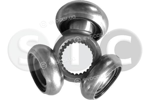 Metalcaucho / STC T439398