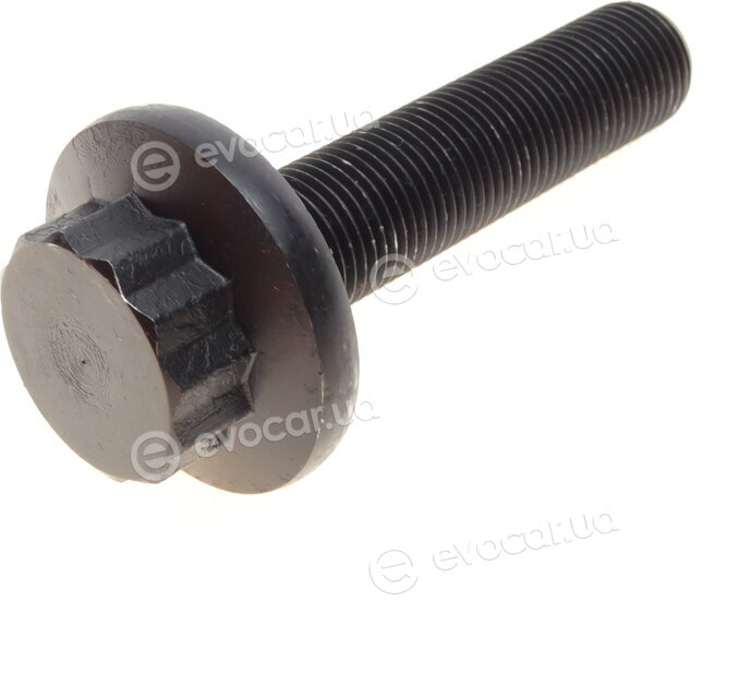 Metelli 19-2317