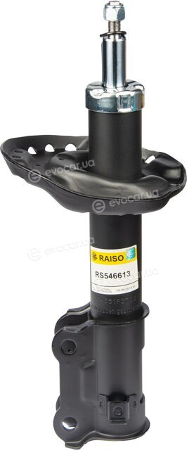 Raiso RS546613