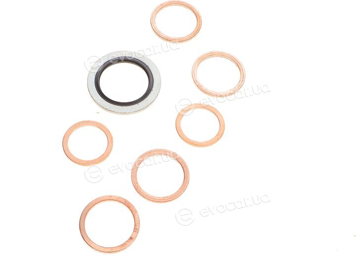 Elring 335.300