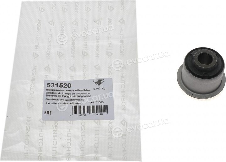 Hutchinson 531520