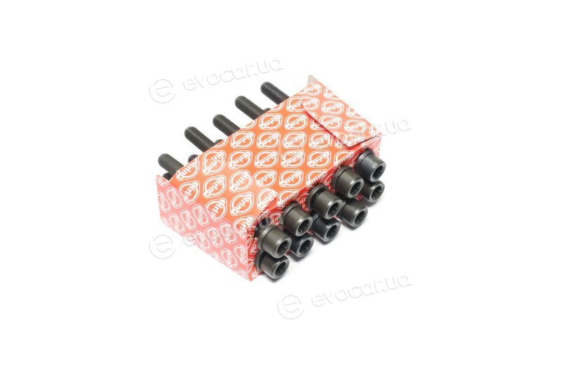 Elring 302.250