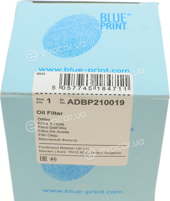 Blue Print ADBP210019