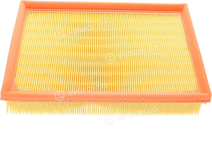 Mann C 25 101/1