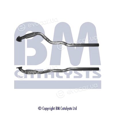 BM Catalysts BM50080