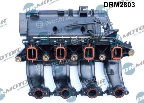 Dr. Motor DRM2803
