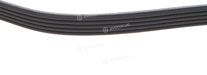 Dayco 5PK941