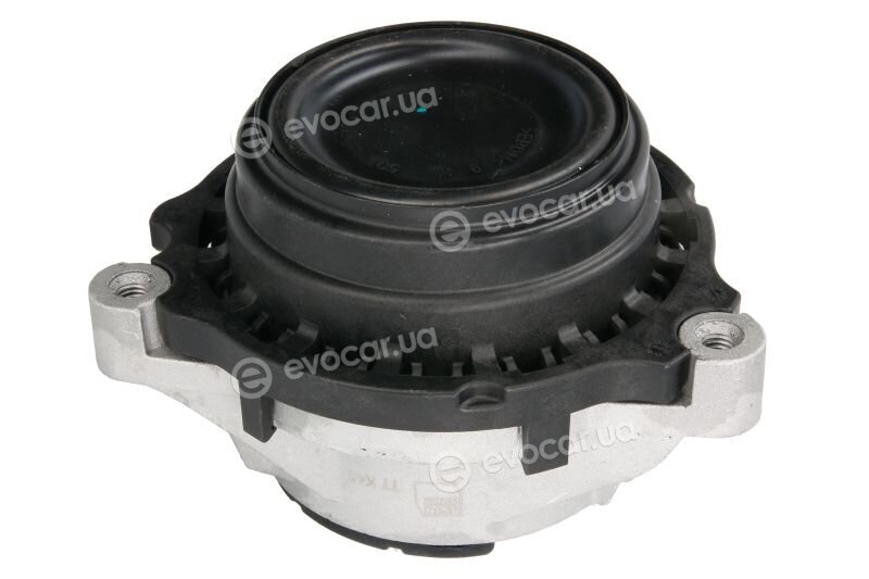 Reinhoch RH11-3067