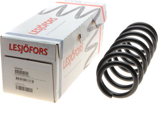 Lesjofors 4208490