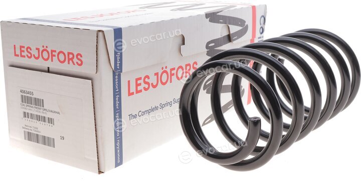 Lesjofors 4063455