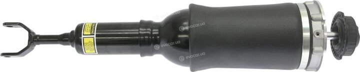 Starline TL V00008