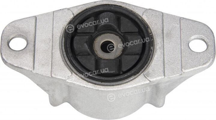 Raiso RC02341