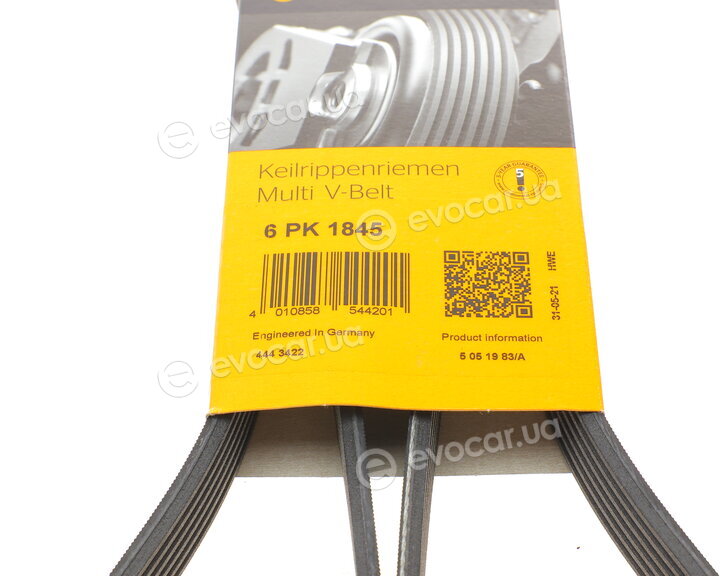 Continental 6PK1845