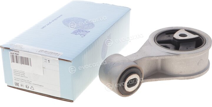 Blue Print ADBP800295