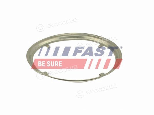 Fast FT84817