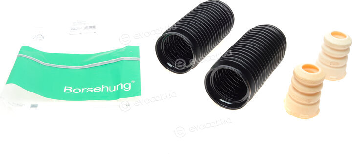 Borsehung B10028