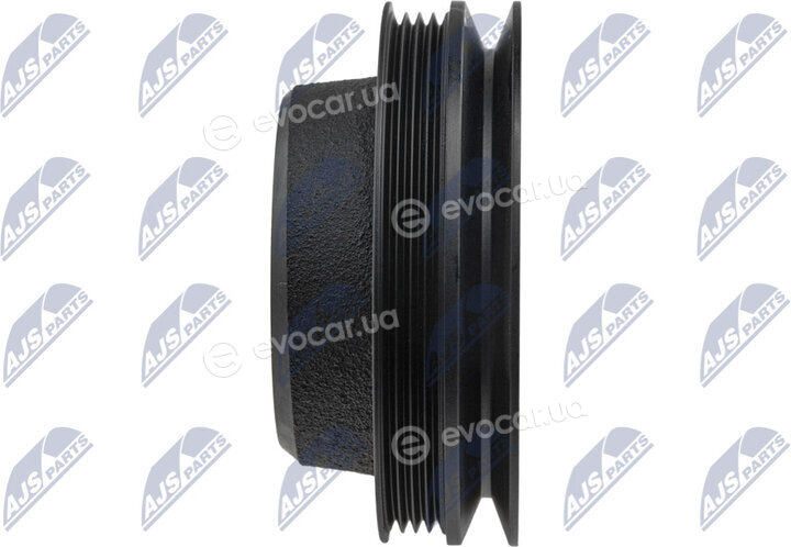 NTY RKP-MS-003